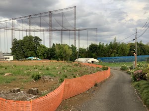 吉田ブルーベリー園